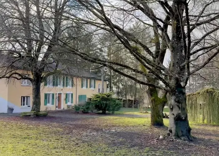 La Cle De La Foret 住宿加早餐酒店 *